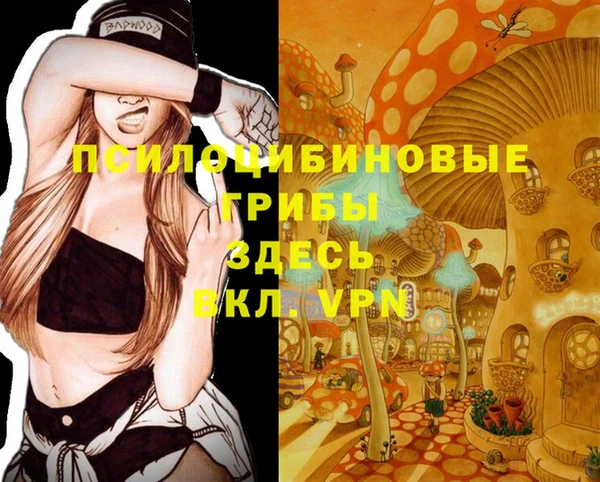 тгк Абаза