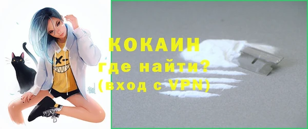 дживик Абинск