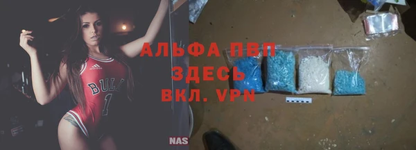 дживик Абинск