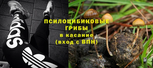 тгк Абаза