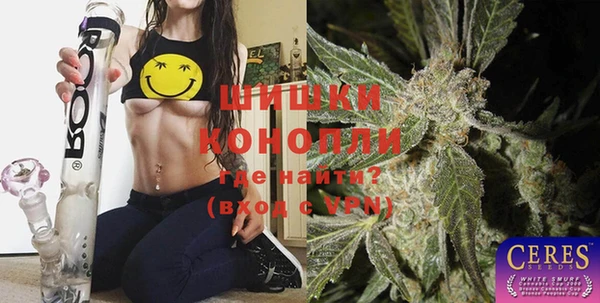 дживик Абинск