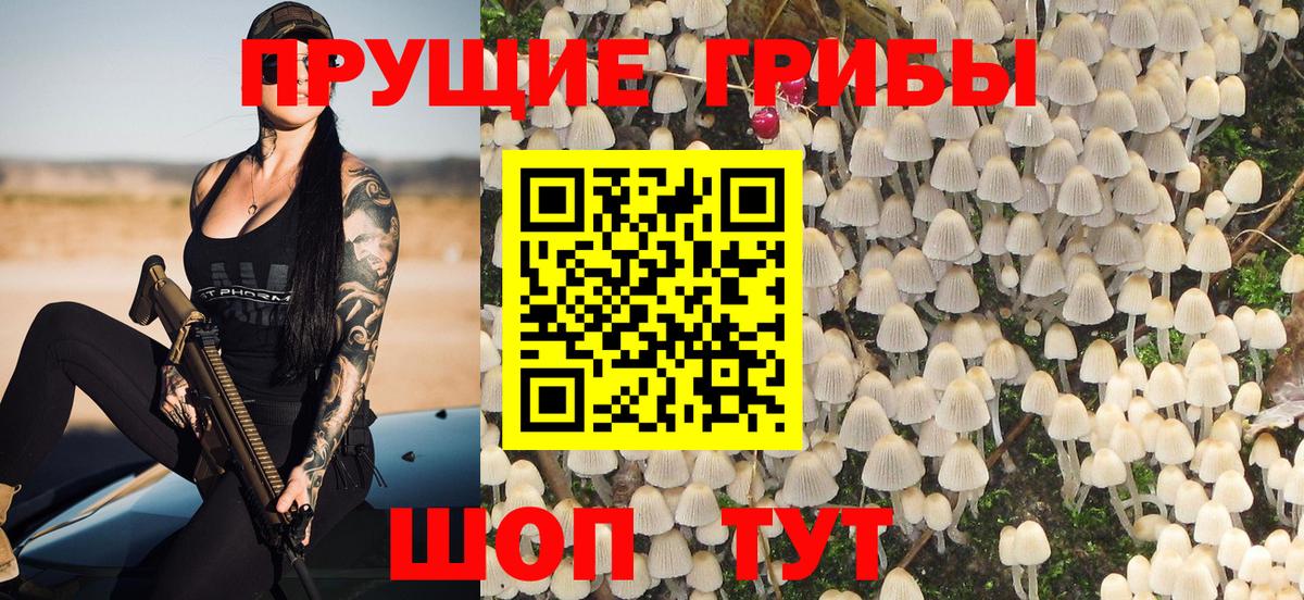 Псилоцибиновые грибы Psilocybe  Вход с VPN  Донской  Галлюциногенные грибы Psilocybine cubensis 