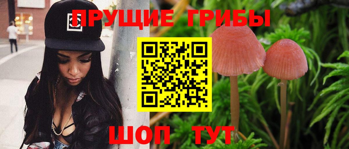 Псилоцибиновые грибы Cubensis Донской